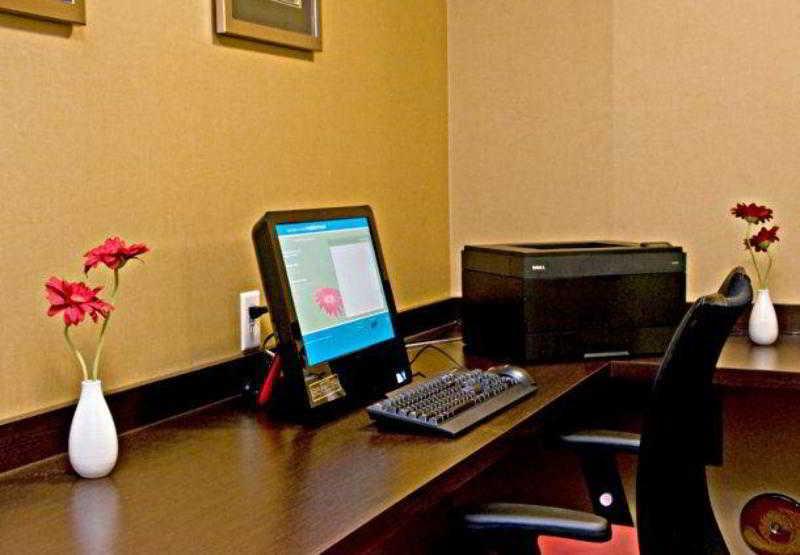 Towneplace Suites By Marriott San Diego Carlsbad / Vista Faciliteter billede
